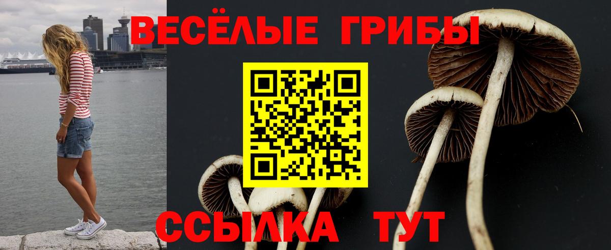 Саяногорск  Галлюциногенные грибы Psilocybe  наркотики  Вход с VPN  Псилоцибиновые грибы Cubensis 